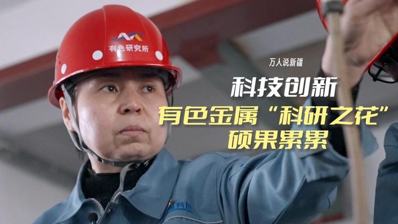 企业数据安全解决方案：定制开发的关键考量